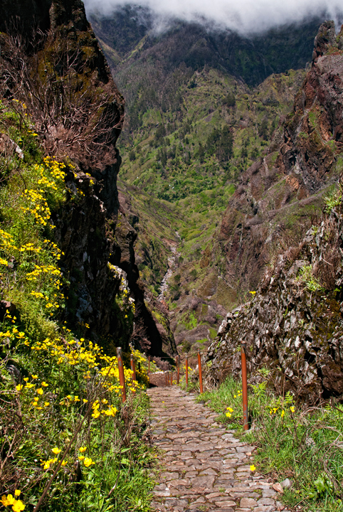 165_Madera_w drodze na Pico Ruivo.jpg